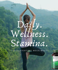 Diamond Healthy Horizons Multivitamin - Natural Multivitamin To Support Stress Relief And Provide Essential Nutrients - Daily Multivitamin For Men And Women - (90 Count)