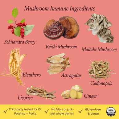 Urban Moonshine Mushroom Immune - Daily Support With Reishi & Astragalus - Long-Term Tonic For Healthy Immune System - Immune Support Supplement - Gluten Herbal Supplement - 2 Fl Oz