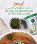Garden of Life Raw Organic Perfect Food Energizer Juiced Green Superfood Powder - Yerba Mate Pomegranate 30 Servings Green Superfood Powder & Probiotics Gluten Free Whole Food Greens Supplements