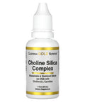California Gold Nutrition Choline Silica Complex, 1 Fl Oz (30 Ml)