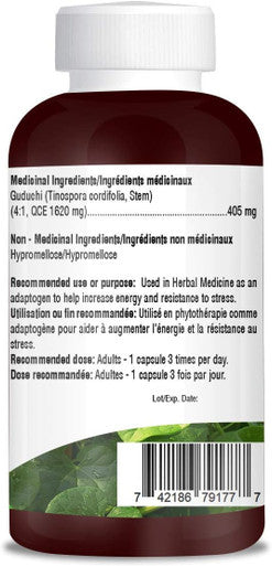ORGEN GILOY 405 mg 4:1 QCE 1620 mg Extract I Increase Energy I Adaptogen I Resistance to stress