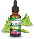 Nature'S Answer Plantain Leaf with Organic Alcohol 2000mg 1oz Extract | Supports Skin Wellness | Gluten- Non-GMO Vegan No Preservatives or Artificial Flavors | Single Count