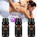 Aromatherapy Cedar Essential Oil Set for Diffuser, 3X10ml 100% Pure Eucalyptus Essential Oil Kit for Humidifier - Eucalyptus, Cedar, Clove Essential Oil Set, Aromatherapy Clove Essential Oils Kit