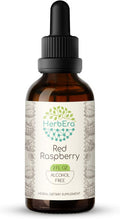 Red Raspberry B60 Alcohol-Free Herbal Extract Tincture, Concentrated Liquid Drops Natural Red Raspberry (Rubus idaeus) Dried Leaf (2 fl oz)