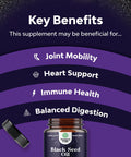 Vegan Black Seed Oil Capsules - Cold Pressed Nigella Sativa Black Cumin Seed Oil Capsules with Omega 3 6 9 Antioxidants and Thymoquinone for Hair Growth Immune Support Joint Health and Digestion