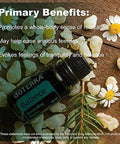 Doterra Balance Grounding Blend 15Ml (2 Pack)