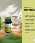 Banyan Botanicals Joint Support Organic Joint Supplement With Turmeric, Amla & Guggulu Resin For Healthy Joints & Comfortable Movement* 90 Tablets Non-Gmo, Sustainably Sourced, Vegan