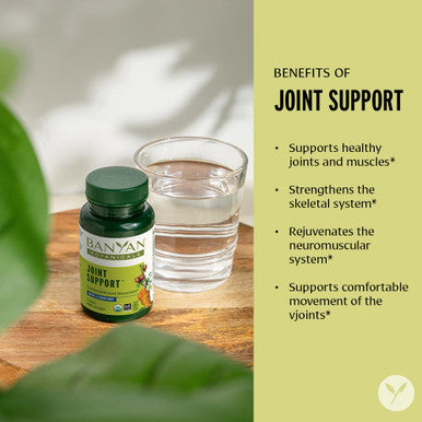 Banyan Botanicals Joint Support Organic Joint Supplement With Turmeric, Amla & Guggulu Resin For Healthy Joints & Comfortable Movement* 90 Tablets Non-Gmo, Sustainably Sourced, Vegan