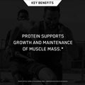 Optimum Nutrition 100% Whey Gold Standard Double Rich Chocolate 5 Pound