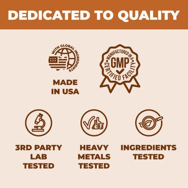 10X Mushrooms Supplement Complex - Nootropic and Immune Support for Brain, Cognition, Memory, Focus and Mental Clarity. With Lions Mane, Reishi Extract, Chaga, Turkey Tail, Black Fungus & More