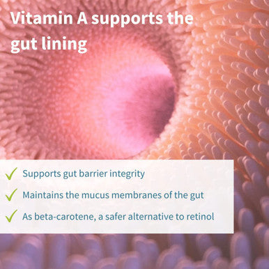 Live Cultures+ Lab4 Probiotics, Vegan Lactobacillus Acidophilus & Bifidobacterium, Guaranteed 25 Billion CFU, Plus Non-Bloating Prebiotic for Men & Women, 30 Capsules, by Igennus