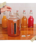 Fermentaholics Big Momma Kombucha Scoby With Twelve Ounces Of Starter Tea - Live Kombucha Starter Culture | Extra Large 6" Pellicle | Makes A One Gallon Batch | 1.5 Cups Of Strong Mature Starter Tea