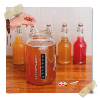 Fermentaholics Ingredient Kit - Classic Kombucha Brews 1-Gallon Organic her