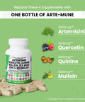 Artemisinin 2500Mg Quercetin 1000Mg Zinc 100Mg Mullein Quinine Supplement With Sea Moss Bromelain Ashwagandha Root Nettle Leaf