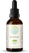 HerbEra Bloodroot Tincture B60 Alcohol-Free Extract, Super-Concentrated Responsibly farmed Bloodroot (Sanguinaria Canadensis) Dried Root (2 Fl Oz)