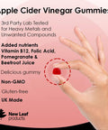 Leaf Products Apple Cider Vinegar Gummies Vegan With The Mother High Strength + Vitamin B12 Folate Pomegranate & Beetroot Fresh Pure Unfiltered Vinegar Not Powder Apple Cider Vinegar Gummy 1 Per Serving