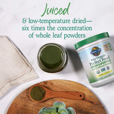 Garden of Life Perfect Food Raw Green Super Food 240 G