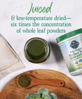 Garden of Life Raw Organic Perfect Food Alkalizer & Detoxifier Juiced Greens Superfood Powder & Raw Organic Perfect Food Green Superfood Juiced Greens Powder - Original Stevia-Free