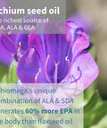 Echiomega Vegan Triple Omega 3 6 9 500 Mg, Echium Seed Oil, Efa Supplement For Women With Gla, 60 Softgels