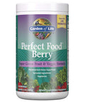 Garden of Life Perfect Food Berry Super Green Fruit & Veggie Formula - 30 Servings 49 Superfoods Greens Sprouts Fruits Veggies Probiotics Spirulina Vegetarian Juice Superfood Powder Supplement