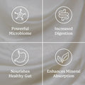 Nature'S Sunshine Probiotic Eleven 90 Capsules