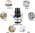 Juniperberry Essential Oil (10ML), 100% Pure Natural Aromatherapy Juniperberry Oil for Diffuse