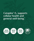 Standard Process - Cataplex E2 - 90 Tablets