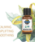 Garden of Life Essential Oil Frankincense 0.5 Fl Oz (15 Ml)