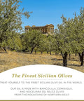 Frantoia Extra Virgin Olive Oil, 101.4 Fl Oz (3L Tin) ÃƒÂ¢Ã¢â€šÂ¬Ã¢â‚¬Å“ Award-Winning Sicilian EVOO Made from Biancolilla, Nocellara del Belice & Cerasuola Olives ÃƒÂ¢Ã¢â€šÂ¬Ã¢â‚¬Å“ Cold-Pressed within 24 Hours for Fresh, Fruity Flavor