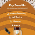Pure White Kidney Bean Extract - AMPK Activator Pre Workout for Men and Women Natural Energy Supplement - Daily Fiber Supplement for Digestive Health and Energy Boost with Molybdenum and Amino Acids