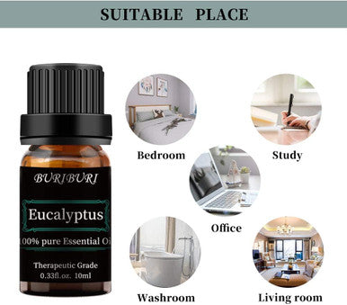 Eucalyptus Essential Oil, 100% Pure, 0.33 Fl Oz, Aromatherapy Eucalyptus Oil for Diffuser, Massage