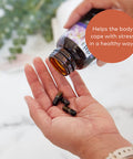 Gaia Herbs Rhodiola Rosea - Support Supplement Traditionally for Supporting Healthy Stamina and Endurance - With Siberian Rhodiola Root Extract - 120 Vegan Liquid Phyto-Capsules (60-Day Supply)