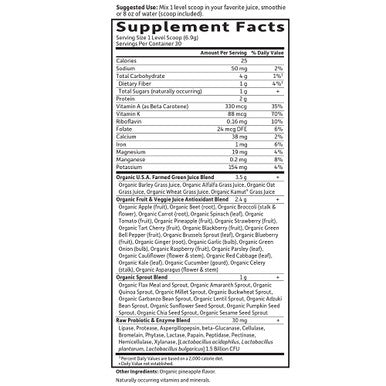 Garden of Life Perfect Food Raw Green Super Food 240 G