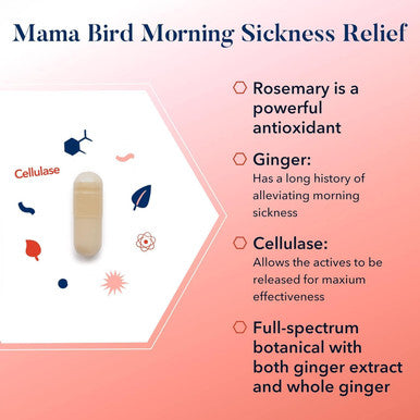 Best Nest Wellness Mama Bird Morning Sickness Relief Supplement Nausea Relief for Pregnant Women with Full Spectrum Ginger for Dizziness + Motion Sickness Pregnancy Morning Sickness Relief 60 Ct