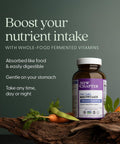 New Chapter Tiny Tabs Multivitamin with 20+ Nutrients for Immune Cellular Energy and Stress Support Including Vitamin D3 + B Vitamins 192 Count