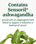 MegaFood Stress Protect With Ashwagandha & Herb Blend -Supports Healthy Stress Response - Rhodiola Root Vegetarian Non-Gmo Gluten-Free - Made Without 9 Food Allergens - 60 Tabs (30 Servings)