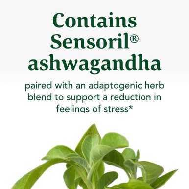 MegaFood Stress Protect With Ashwagandha & Herb Blend -Supports Healthy Stress Response - Rhodiola Root Vegetarian Non-Gmo Gluten-Free - Made Without 9 Food Allergens - 60 Tabs (30 Servings)