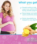 Buried Treasure Prenatal Plus Dha Complete 16 Oz Natural Dha Omega3 Iron