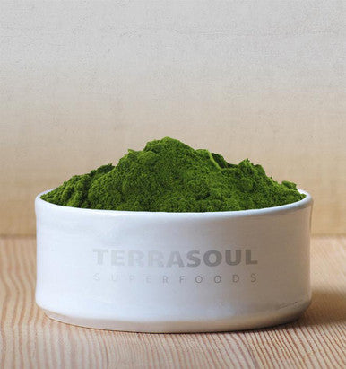Terrasoul Superfoods Organic Wheat Grass Juice Powder 10 Oz (2 Pack) - Grown in Utah Made from Concentrated Juice Superior to Wheatgrass