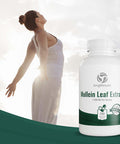 LongLifeNutri Mullein Leaf 1500Mg | 200 Vegetarian Capsules | 10:1 Extract 3000 Mg Strength | Verbascum Thapsus Pure Natural Powder | Non-Gmo Gluten Free | Made In Usa Vitamin | Herbal Supplement