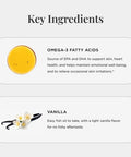JSHealth High Strength Fish Oil Supplements - Omega 3 Fish Oil - Made With Wild-Caught Fish - Omega 3 Supplement, 60 Capsules
