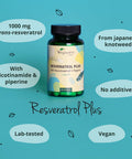 Trans Resveratrol 500mg VegaveroÃƒâ€šÃ‚Â® | with Vitamin B3 (Nicotinamide) | from Japanese Knotweed Extract | Without Additives | 60 Vegan Capsules