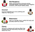 Top 12 Fruit Essential Oil Gift Set 100% Pure Aromatherapy Essential Oil (Grapefruit, Bergamot, Tangerine, Lemon, Strawberry, Red Raspberry, Mango, Coconut, Passion Fruit, Apple, Cherry, Watermelon)