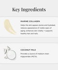JSHealth Collagen Creamer - Vanilla Collagen Creamer For Coffee - Dairy Free Healthy Coffee Creamer, 30 Servings Of Marine Collagen Peptides