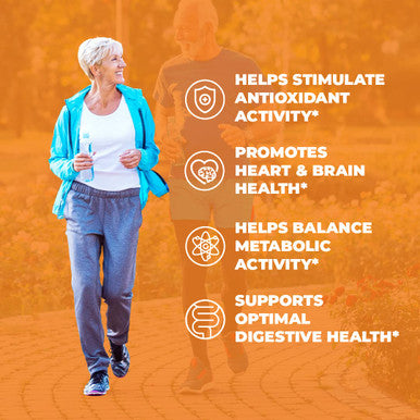 Organic Ceylon Cinnamon - Herbal Dietary Supplement for Heart, Brain & Digestive Health - Metabolism & Antioxidant Support. Gluten & GMO Free. 60 Vegan Capsules