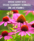 Garden of Life Organics Elderberry Gummies For Adults & Kids - Immune Support Supplement With Organic Fruit Herbal Blend Elderberry EUSAcea Zinc Vitamin C 120 Vegan Gluten Free Gummies