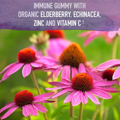 Garden of Life Organics Elderberry Gummies For Adults & Kids - Immune Support Supplement With Organic Fruit Herbal Blend Elderberry EUSAcea Zinc Vitamin C 120 Vegan Gluten Free Gummies
