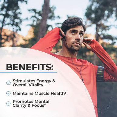 Men'S Multivitamin With Vitamin C A B D3 E Zinc For Immune Support - Once Daily Supplement For Energy & Heart - Antioxidants & Digestive Enzymes For Absorption - Mental Clarity & Focus Support -60 Ct
