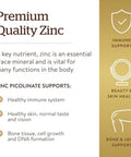 Solgar Zinc Picolinate 22 Mg 100 Tablets - Promotes Healthy Skin - Supports Immune System Normal Taste & Vision - Antioxidant Non-Gmo Vegan Gluten Free Kosher 100 Servings