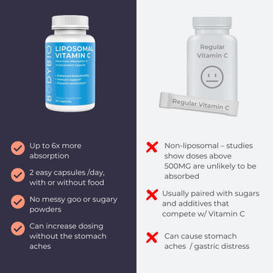 Bodybio Liposomal Vitamin C 60 Capsules Powerful Immune Support Maximum Absorption For Cell Support Super Antioxidant Pure Ascorbic Acid Ultimate Vitamin C